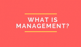 What Is Management?
